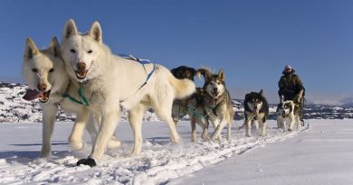 Yukon : sur les traces du « dernier trappeur » Yukon : sur les traces du « dernier trappeur »