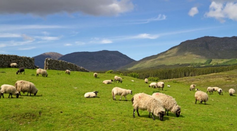 découverte de l'irlande celtique