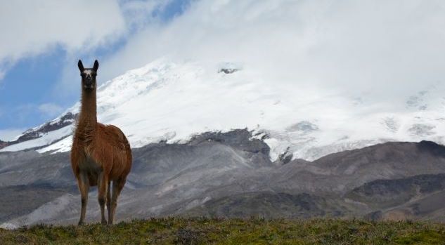 volcans au pérou