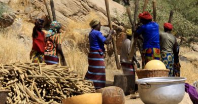 A la découverte du Mali et sa culture découverte du Mali et sa culture