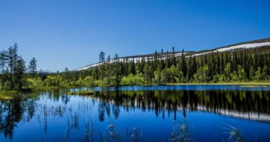 Voyage au coeur du parc national de Fulufjället en Suède – suite Fulufjället paysage