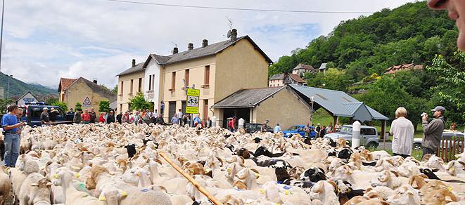 transhumances en Couserans ariege