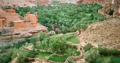 Découvrir les gorges du Dadès au Maroc gorges du Dadès maroc