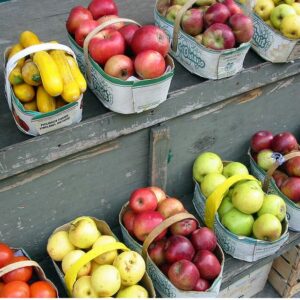 vente fruits légumes de saison perpignan