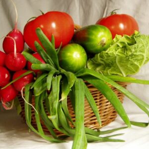 vente légumes ferme perpignan