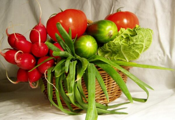 vente légumes ferme perpignan