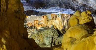 Voyage nature au Vietnam : 3 parcs nationaux à explorer phong nha vietnam