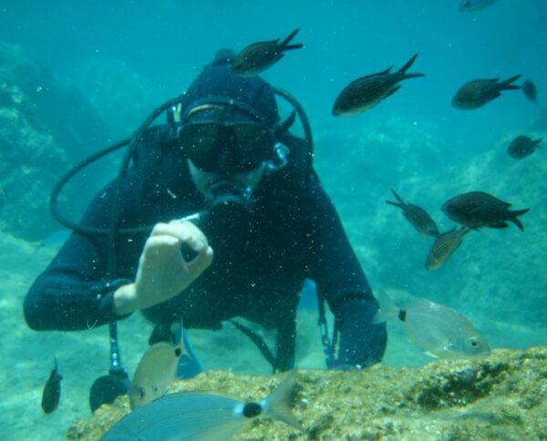 plongée sous-marine perpignan