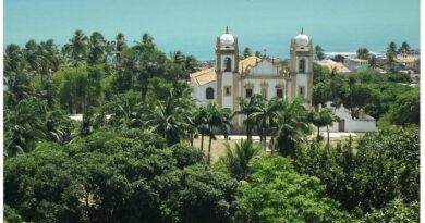 Plongée aux origines du Brésil : Recife recife brésil