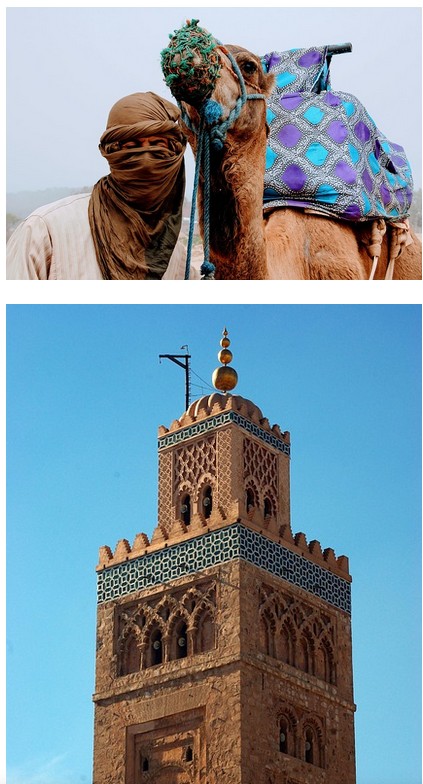 découvertes de l'Afrique du Nord