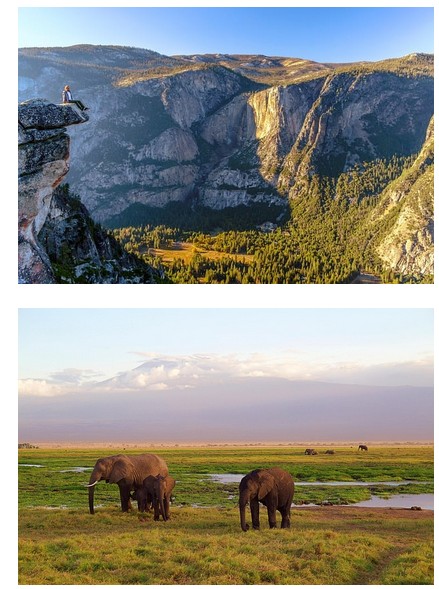 parcs nationaux d'afrique